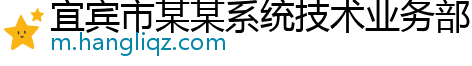 宜宾市某某系统技术业务部